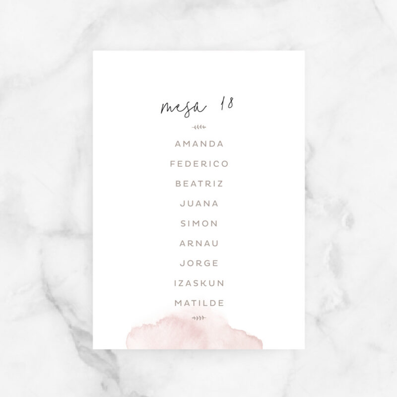 project party seating plan boda anahi.jpg