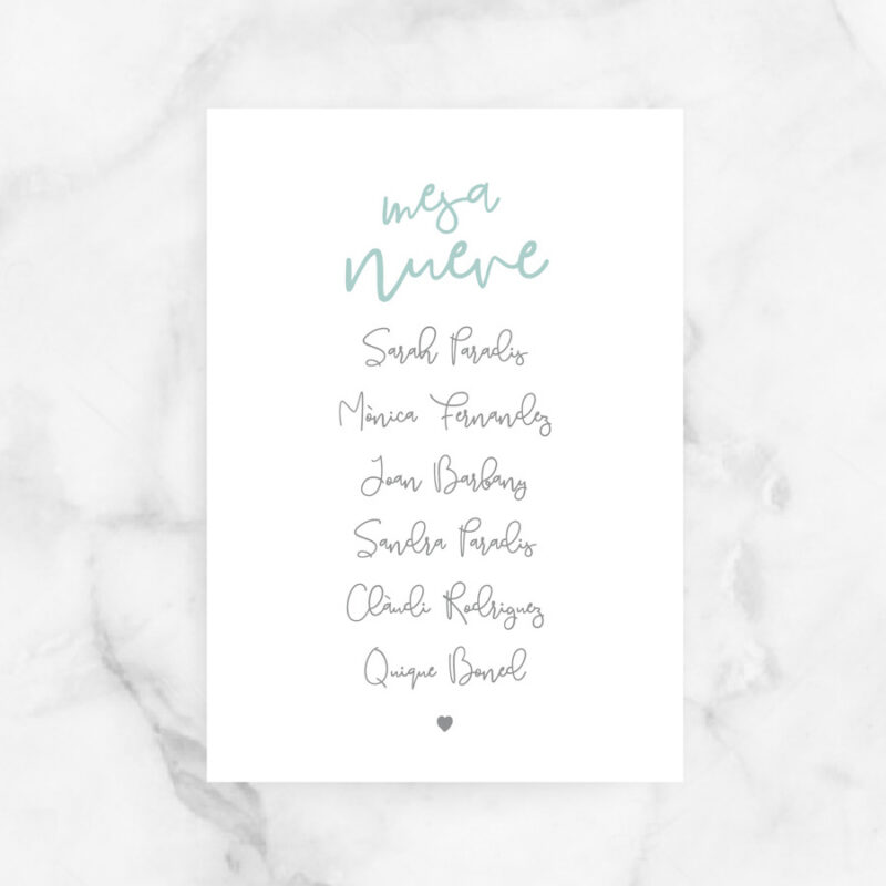 project party seating plan boda camelia.jpg