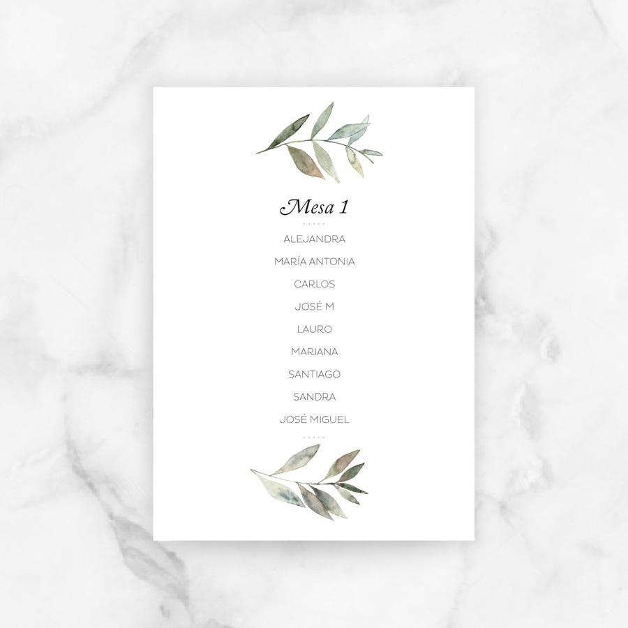 project party seating plan boda julietta.jpg