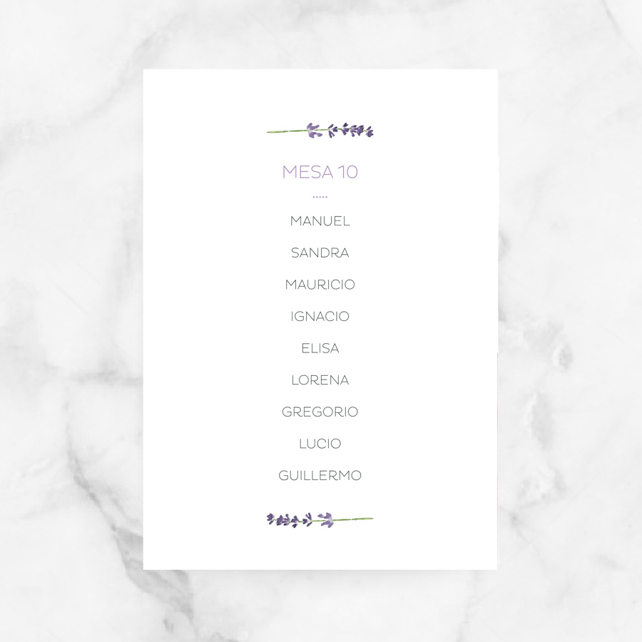 project party seating plan boda lilia.jpg